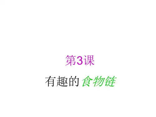 六年级下册科学课件-《有趣的食物链》4｜人教版(共9张PPT)