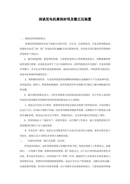 浅谈发电机离相封母及微正压装置