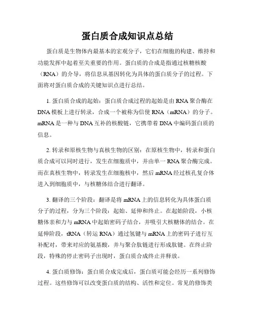 蛋白质合成知识点总结