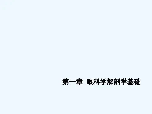 第一章  眼科学解剖学基础[可修改版ppt]