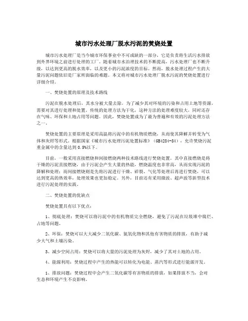 城市污水处理厂脱水污泥的焚烧处置