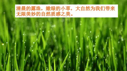 【美术】第3课 画家笔下的质感课件 2023—2024学年湘教版初中美术七年级下册
