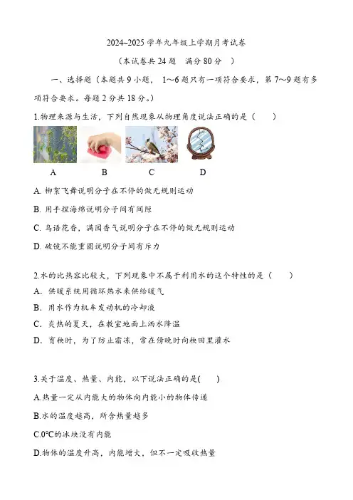 2024-2025学年人教版九年级全一册物理月考试卷(含答案)