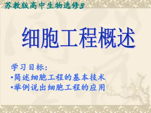 细胞工程概述 ppt课件
