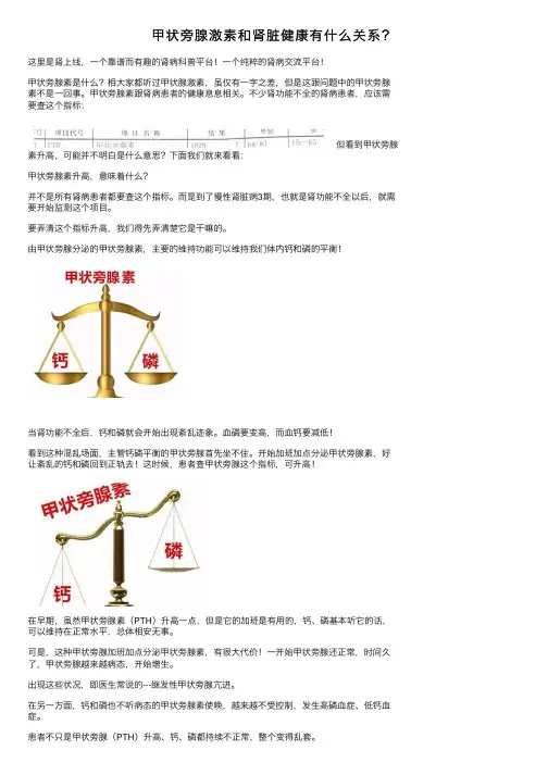 甲状旁腺激素和肾脏健康有什么关系？