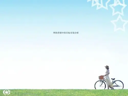 网络营销中的目标市场分析
