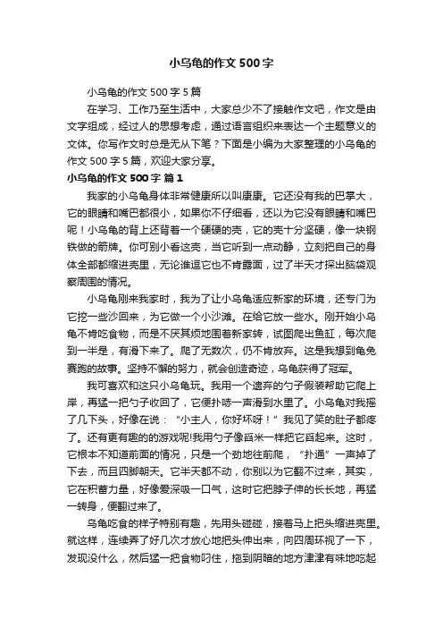 小乌龟的作文500字5篇
