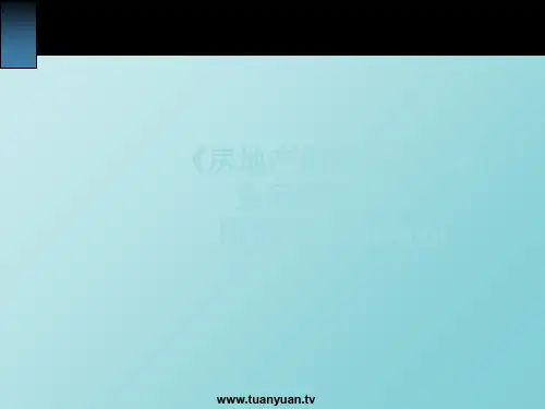 金地武汉市华润积玉桥的项目的的策划全案精品文档