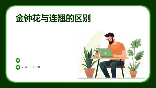 金钟花与连翘的区别