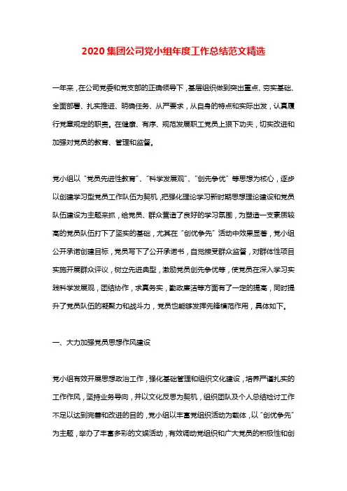 2020集团公司党小组年度工作总结范文精选
