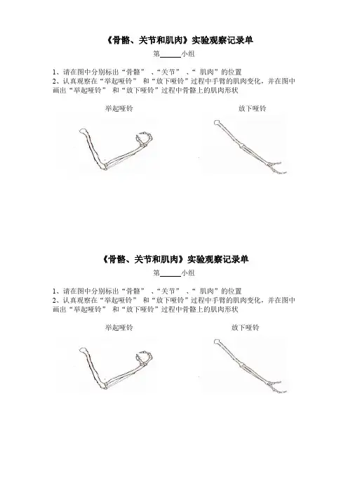 (已整理)实验记录单_《骨骼、关节和肌肉》