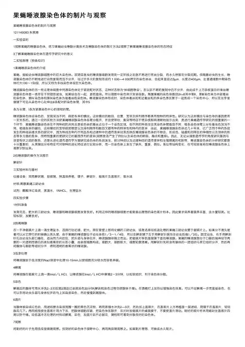 果蝇唾液腺染色体的制片与观察