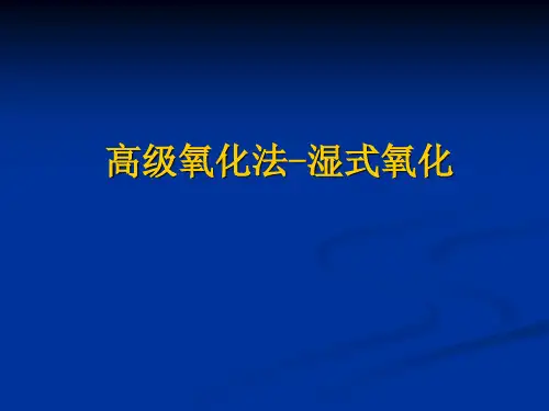 水处理新技术-湿式氧化