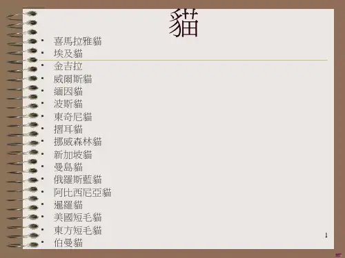 猫的种类介绍