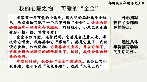 部编版五年级语文上册第一单元《习作范文：我的心爱之物——可爱的“金金”》