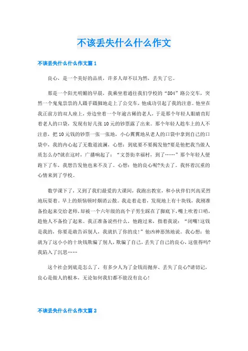 不该丢失什么什么作文