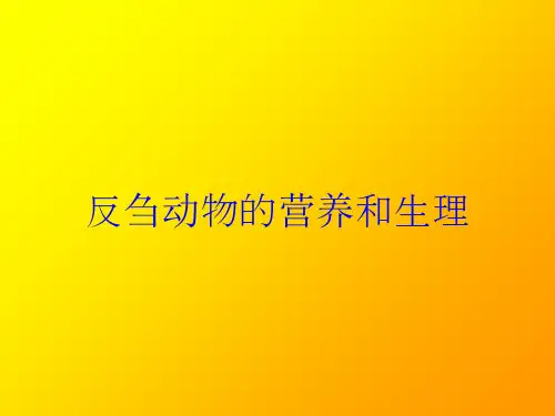 反刍动物的营养和生理培训课件