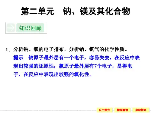 高一化学苏教版必修一2-2-1金属钠的性质与应用