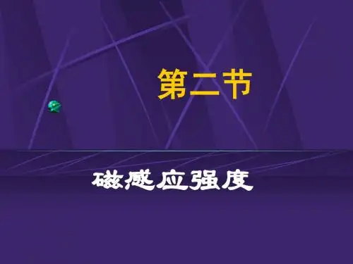 磁感应强度