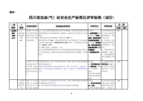 四川省汽车加油(气)站安全生产标准化评审标准(试行)