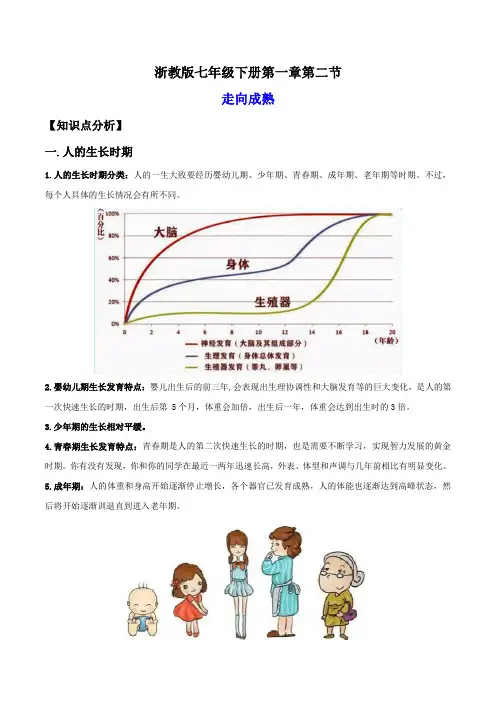 1.2走向成熟(讲义)(解析版)