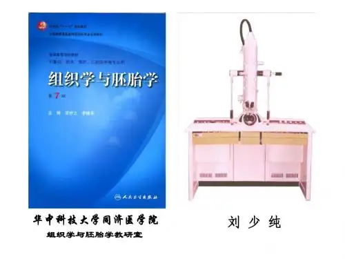 01组织学绪论