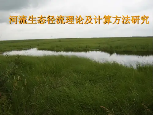 河流生态径流理论及计算方法研究