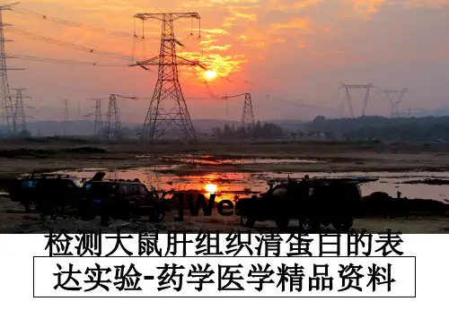 最新[医学]Western blot法检测大鼠肝组织清蛋白的表达实验-药学医学精品资料