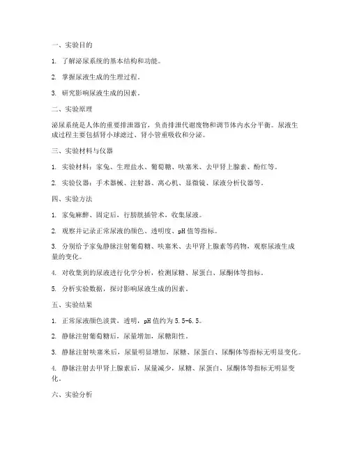 泌尿生理实验报告
