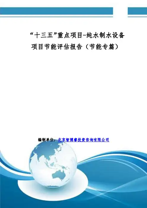 “十三五”重点项目-纯水制水设备项目节能评估报告(节能专篇)