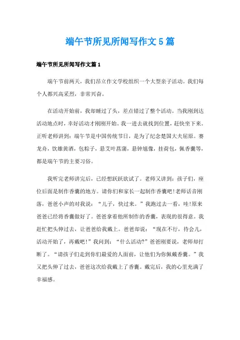 端午节所见所闻写作文5篇
