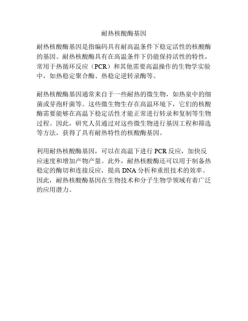 耐热核酸酶基因