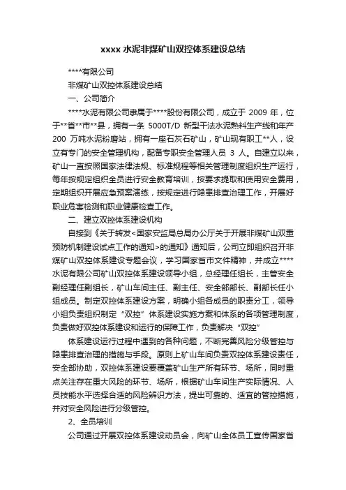 xxxx水泥非煤矿山双控体系建设总结