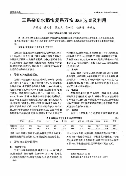 三系杂交水稻恢复系万恢355选育及利用