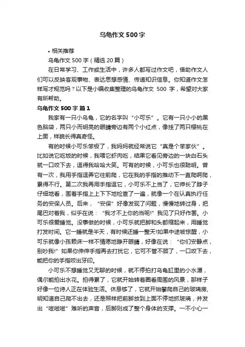 乌龟作文500字