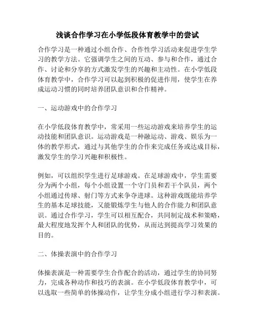 浅谈合作学习在小学低段体育教学中的尝试