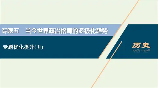 江苏专用高考历史一轮复习专题五当今世界政治格局的多极化趋势专题优化提升课件新人教版