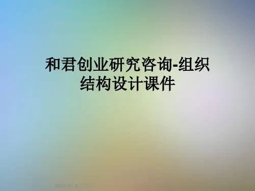 和君创业研究咨询-组织结构设计课件