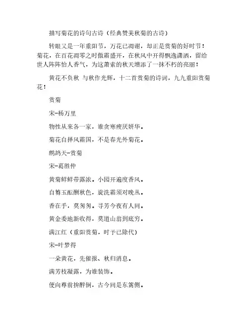 描写菊花的诗句古诗(经典赞美秋菊的古诗)