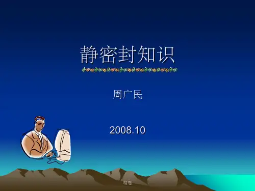 静密封知识PPT课件