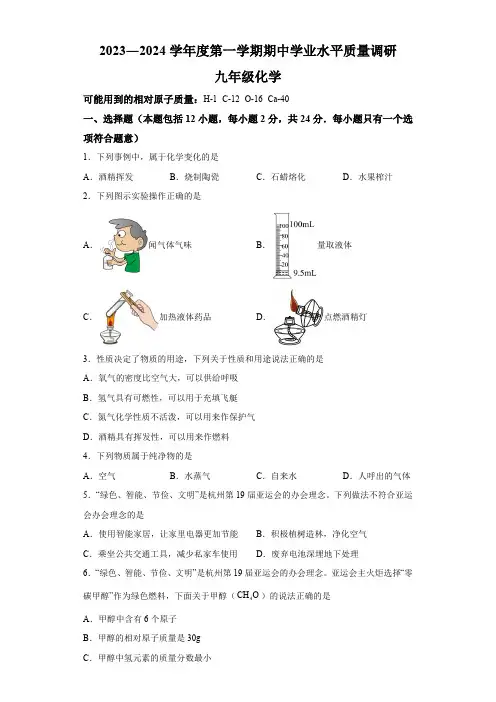 江苏省连云港市海州区2023-2024学年九年级上学期期中统测试卷(含解析)