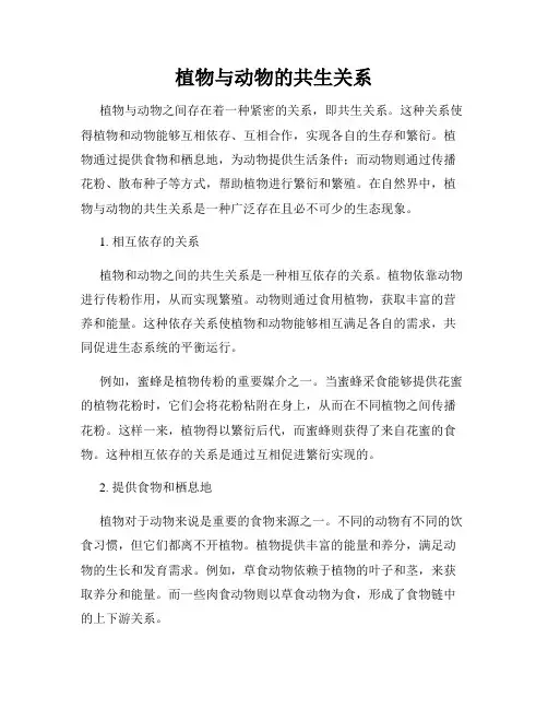 植物与动物的共生关系
