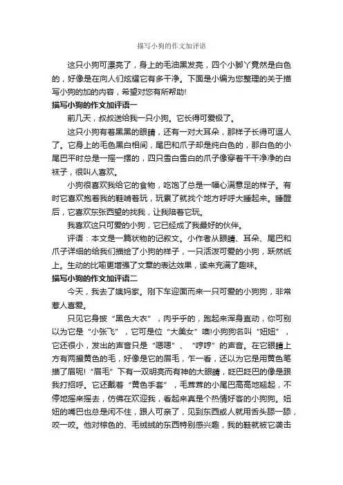 描写小狗的作文加评语_作文500字_作文评语_
