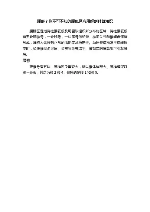 腰疼？你不可不知的腰骶区应用解剖科普知识
