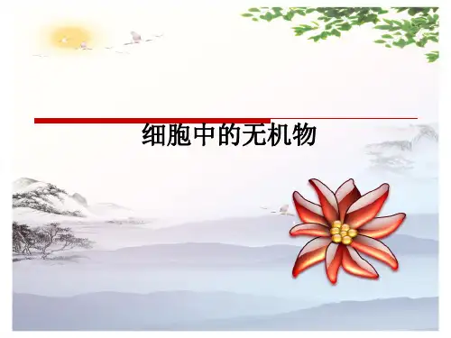 高中生物必修一---第二章第五节----细胞中的无机物-课件(共24张PPT)[优秀课件][优秀课件]