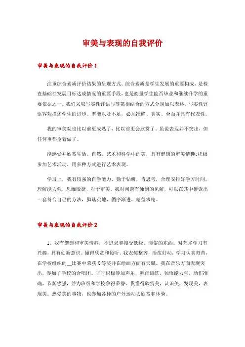 审美与表现的自我评价