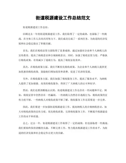 街道税源建设工作总结范文