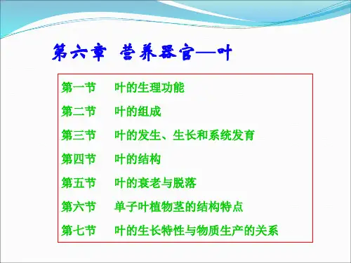 植物学第六章汇总