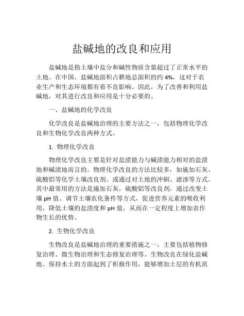 盐碱地的改良和应用
