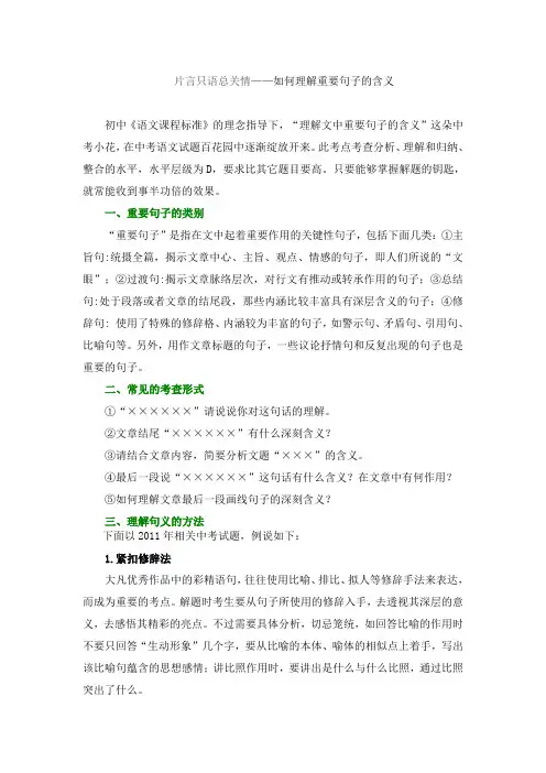 如何理解重要句子的含义